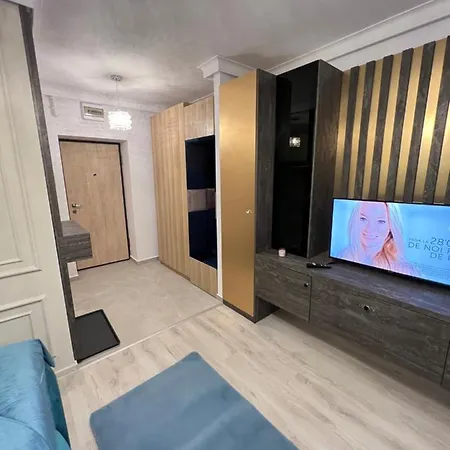 Milena Studio 1 Dormitor Bucharest